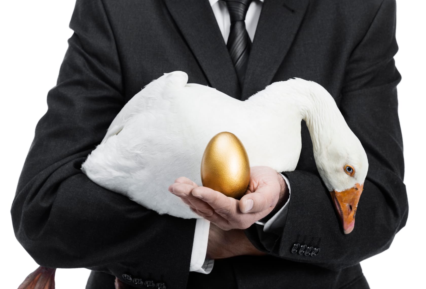 Businessman with golden egg Man in suit holding a goose and a golden egg