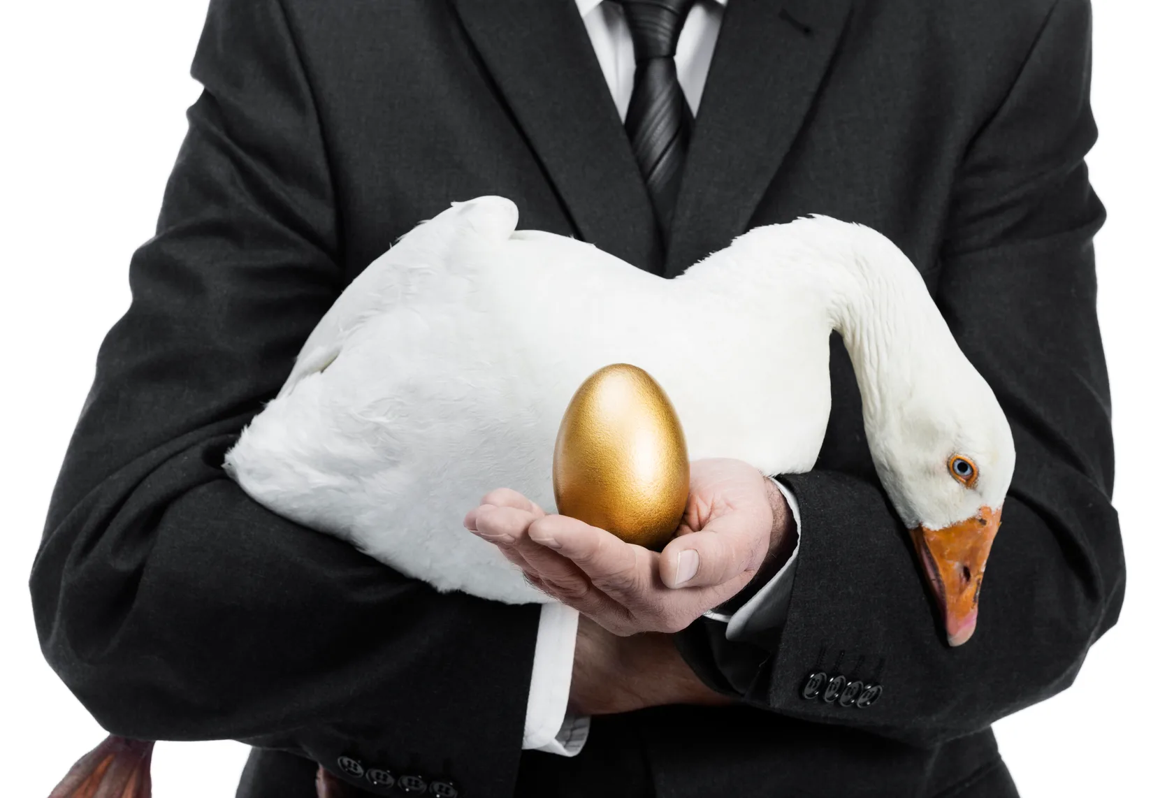 Man in suit holding a goose and a golden egg