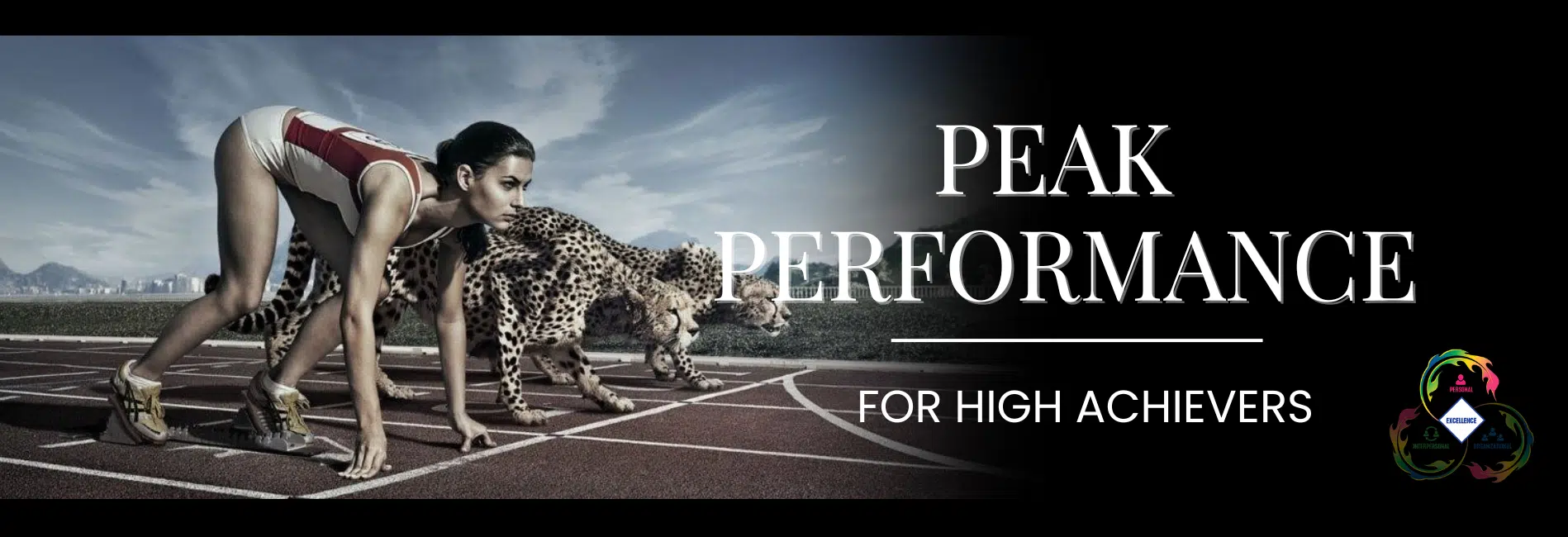 Runner competing against cheetahs at the start line. Title graphic for Sustainable Excellence for High Achievers